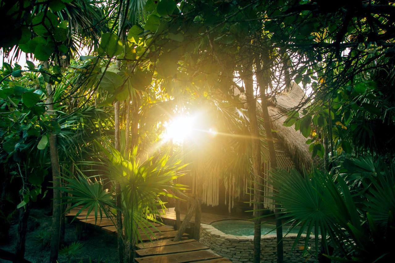Ikal Tulum Hotel Eksteriør billede Jungle at Xel-Há