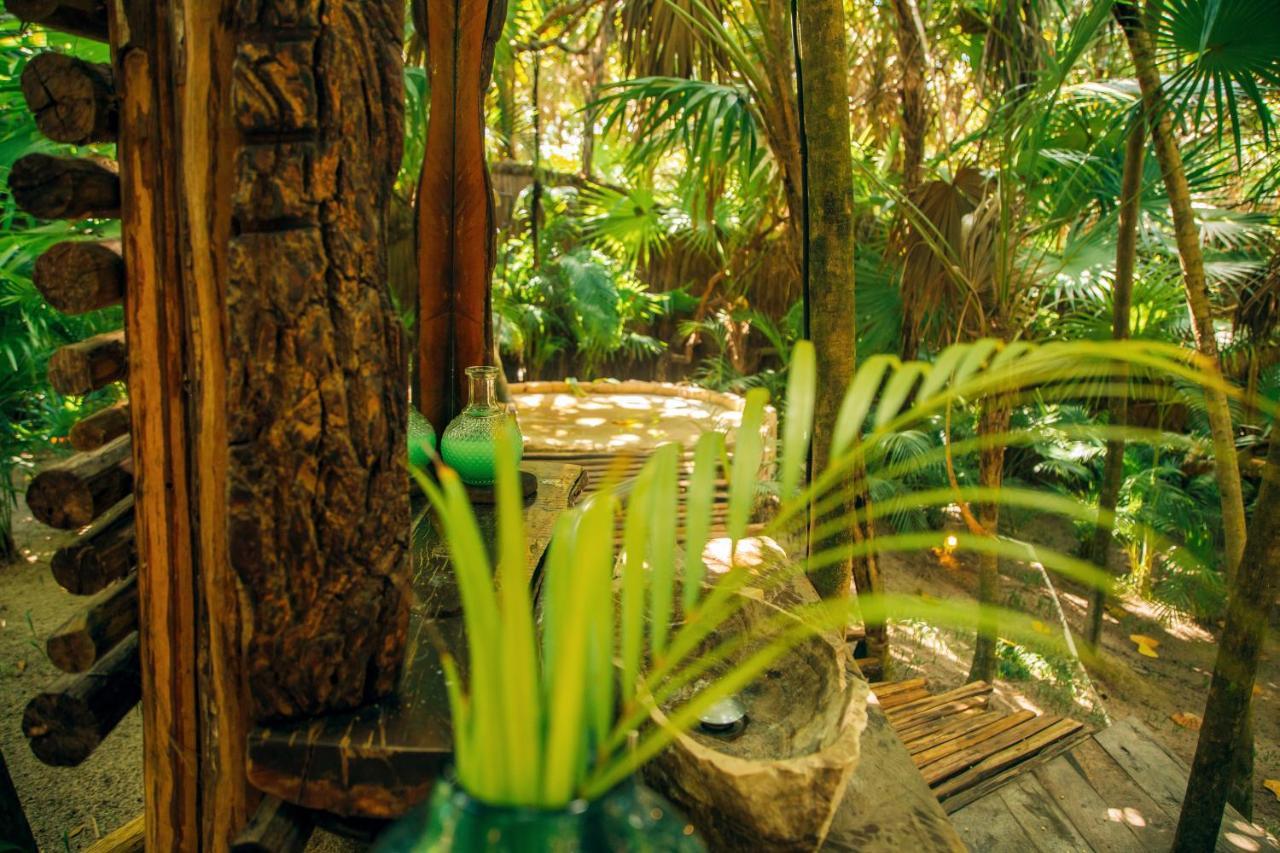 Ikal Tulum Hotel Eksteriør billede The interior of the rainforest