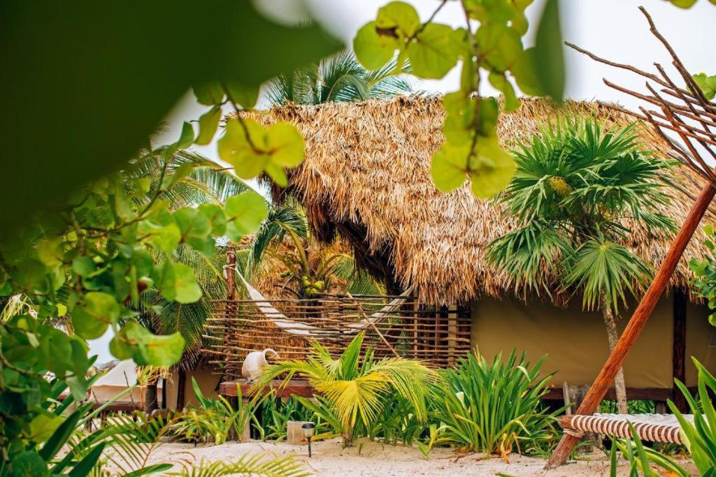 Ikal Tulum Hotel Eksteriør billede A hut in the jungle